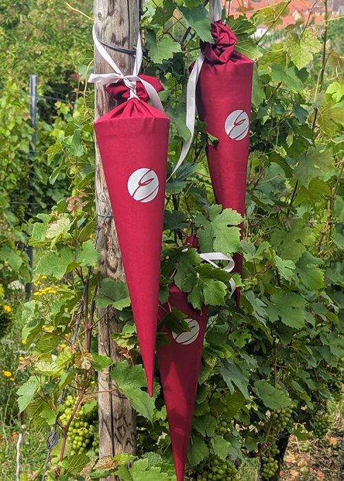 Ausbildung Hotelfachfrau Hotelfachmann Azubi Hofa