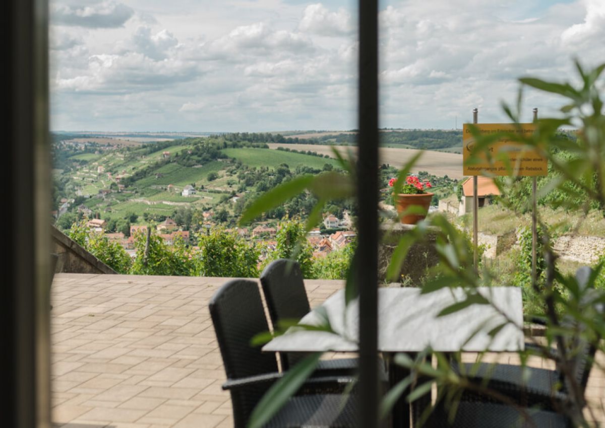 Weinbergstube: Terrasse mit freiem Zugang zum Schulweinberg