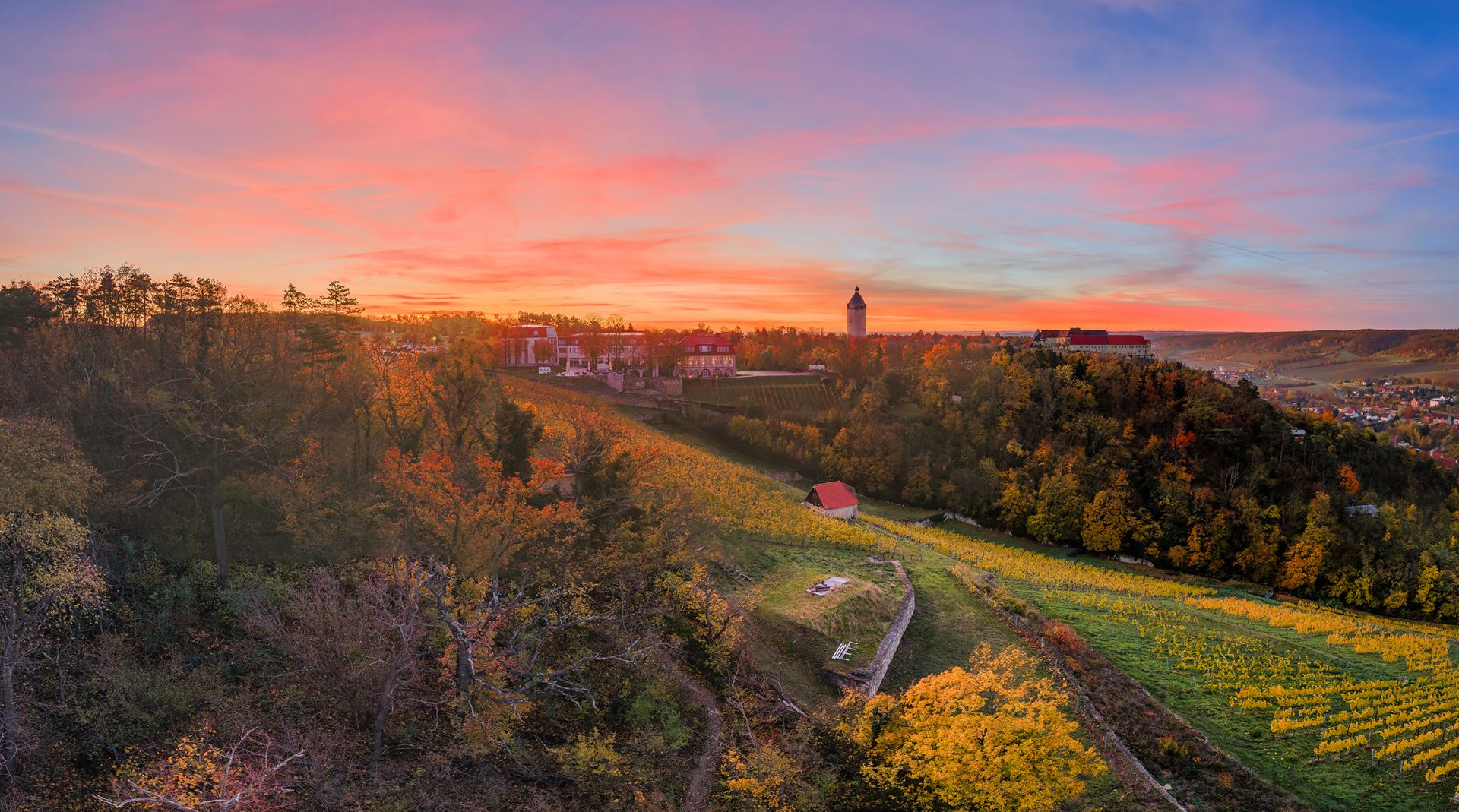 Luftaufnahme vom Weinberghotel Edelacker - Freyburg, Saale-Unstrut